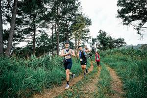 BIB: 
                            <button type="button" onclick="openModal(26036554)" class="btn btn-primary btn-sm float-right btn-popup" data-toggle="modal" data-target=".modal-high-quality">
                        <i class="fas fa-shopping-cart"></i> Add to Cart
                    </button>
                                            <button type="button" onclick="isThisMe(26036554, true)" class="btn btn-success btn-sm float-right btn-popup btn-isme hidden" data-toggle="tooltip" data-placement="bottom" title="นี่คือรูปของคุณใช่ไหม คลิกที่นี่เพื่อเอาเข้าอัลบั้ม">
                        <i class="fas fa-plus"></i> Add to album
                    </button>
                    <button type="button" onclick="isThisMe(26036554, false)" class="btn btn-warning btn-sm float-right btn-popup btn-isnotme hidden">
                        <i class="fas fa-ban"></i> Remove from album
                    </button>